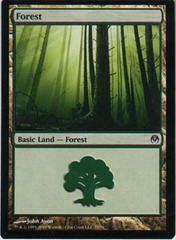 Forest (70)